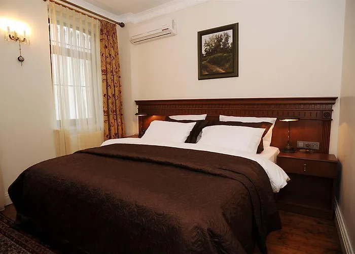 Dila Suits 1 Istambul